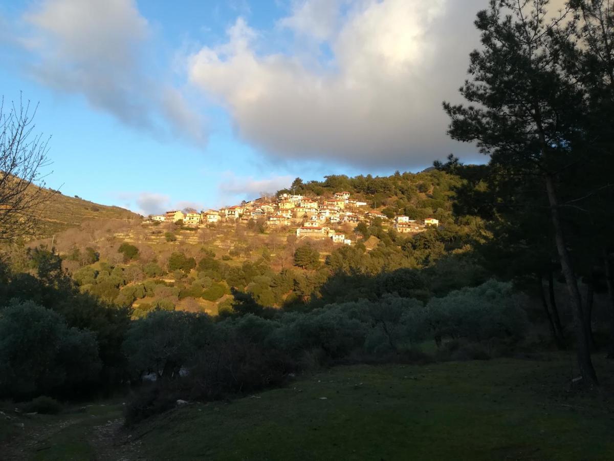 Eden View Sotir Exterior foto